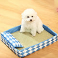 Blue rattan cat litter mat serving as dual-purpose pet bed and litter containment area