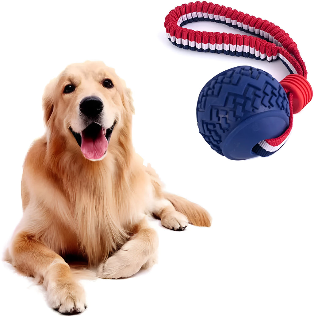Blue and red natural rubber dog ball with rope handle toy for medium and small dogs