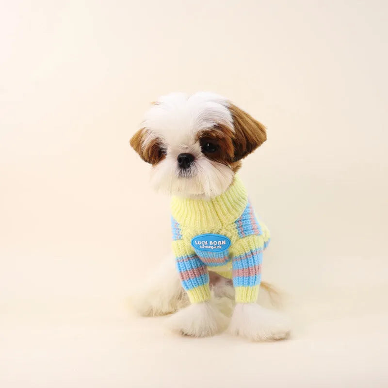 Blue and yellow striped wool knit sweater for a small dog on a white background.