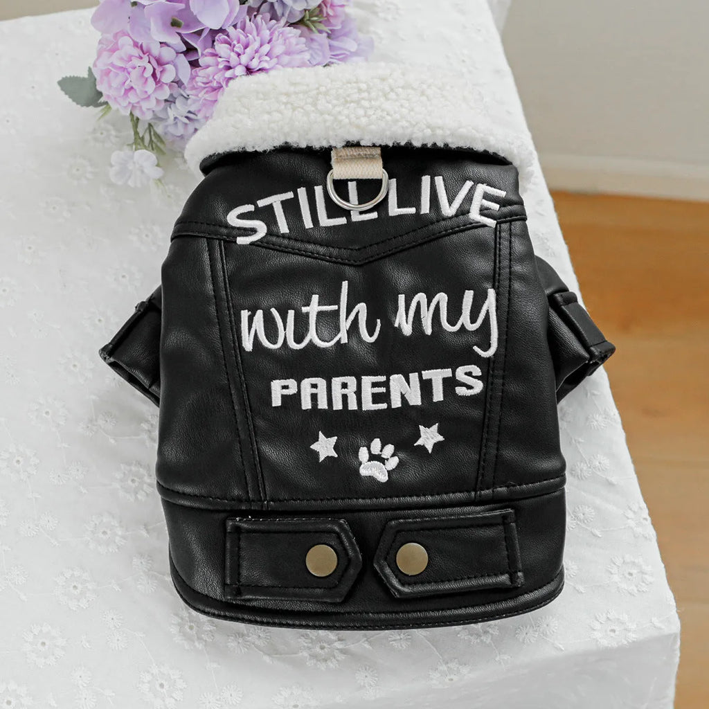 Large fur coat dog clothing with fleece lining and padding in beige, black or suede style