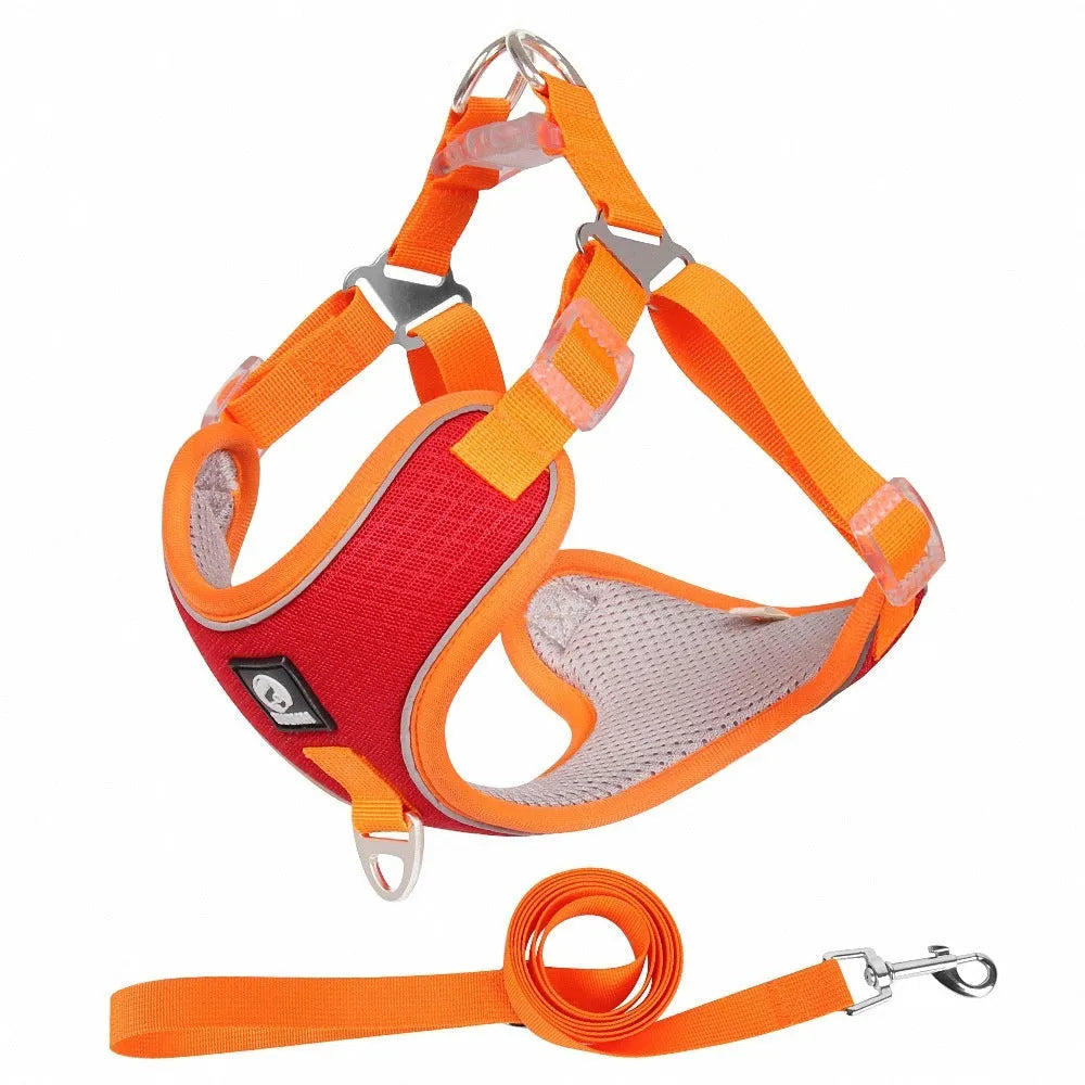 Adjustable mesh dog harness with reflective piping and leash in multiple colour options
