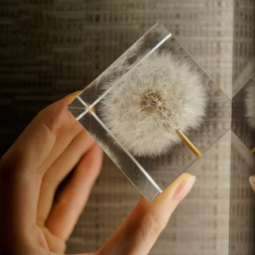 5cm clear resin cube with preserved dandelion flower inside, wooden box and USB charging base
