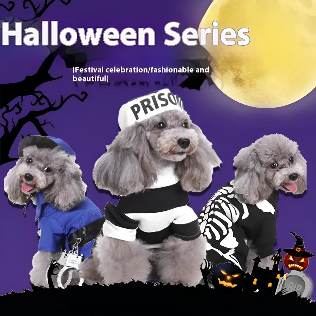 Range of pet costume clothes for cats and dogs including Christmas and character designs.