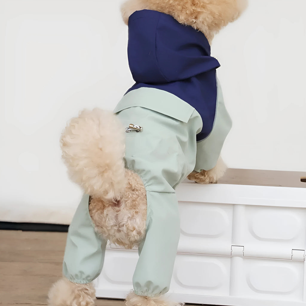Small to medium sized dog wearing a khaki coloured waterproof polyester shell jacket.