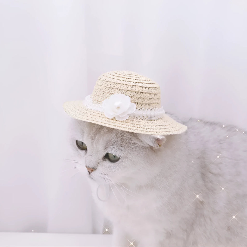Handmade adjustable paper pet hat for a dog, shown in a cartoon colour with a tied bowknot.