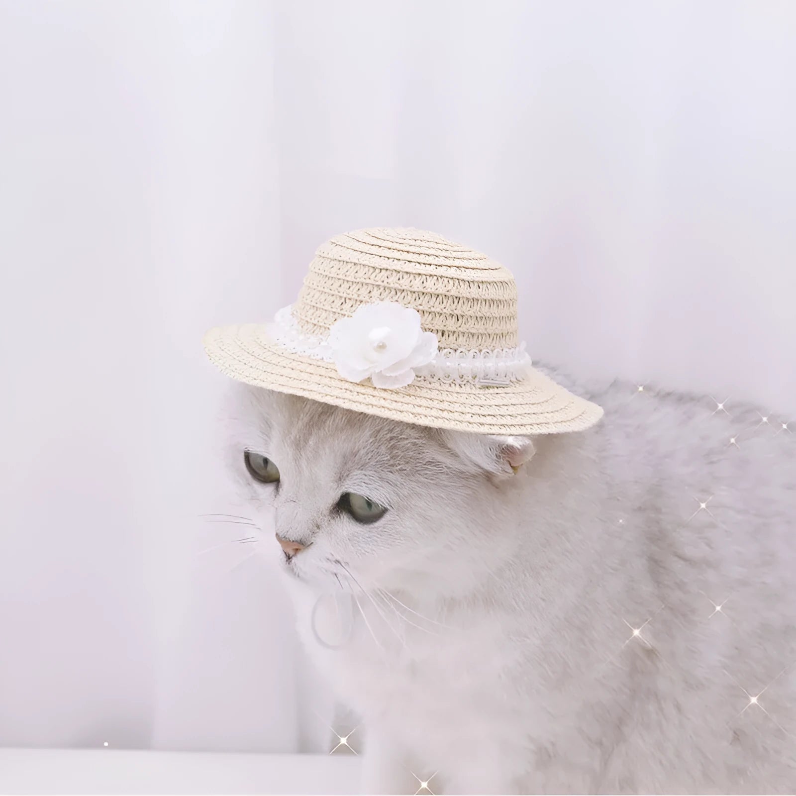 Handmade adjustable paper pet hat for a dog, shown in a cartoon colour with a tied bowknot.