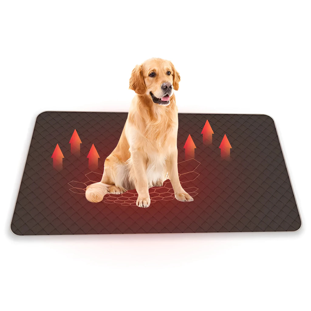 Pet Smart low voltage 5V USB dog heating pad in brown plastic on floor