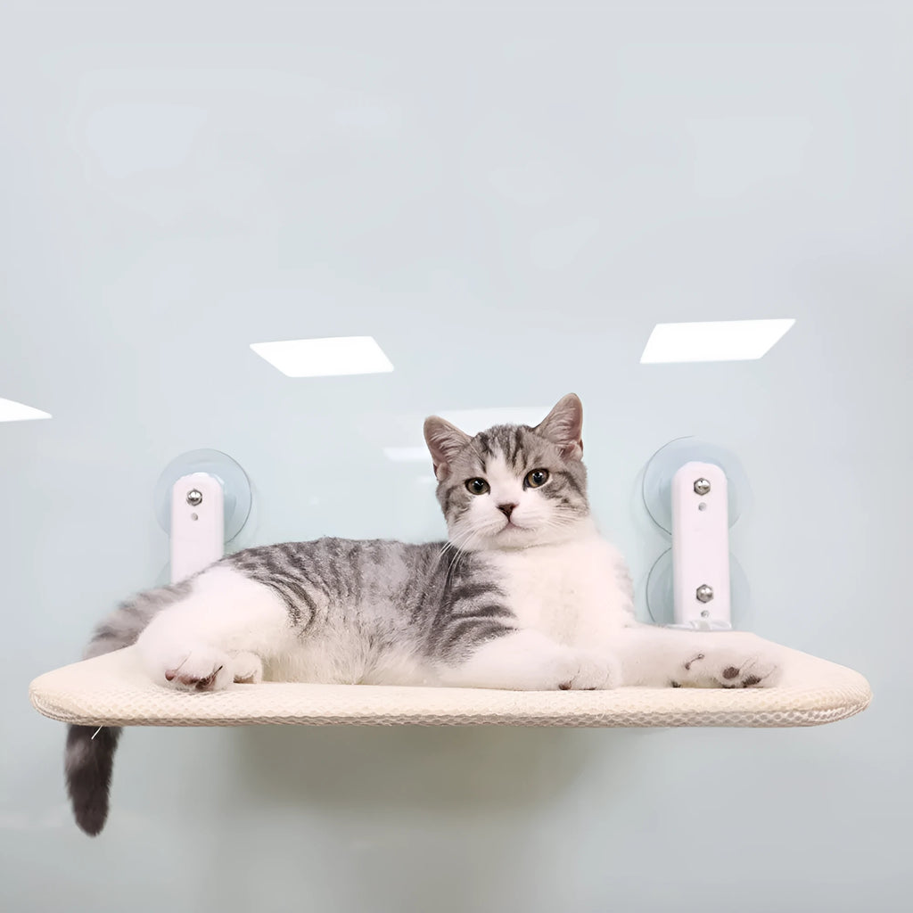 Stainless steel cat window hammock with suction cups in beige mesh, grey mesh, or grey plush options