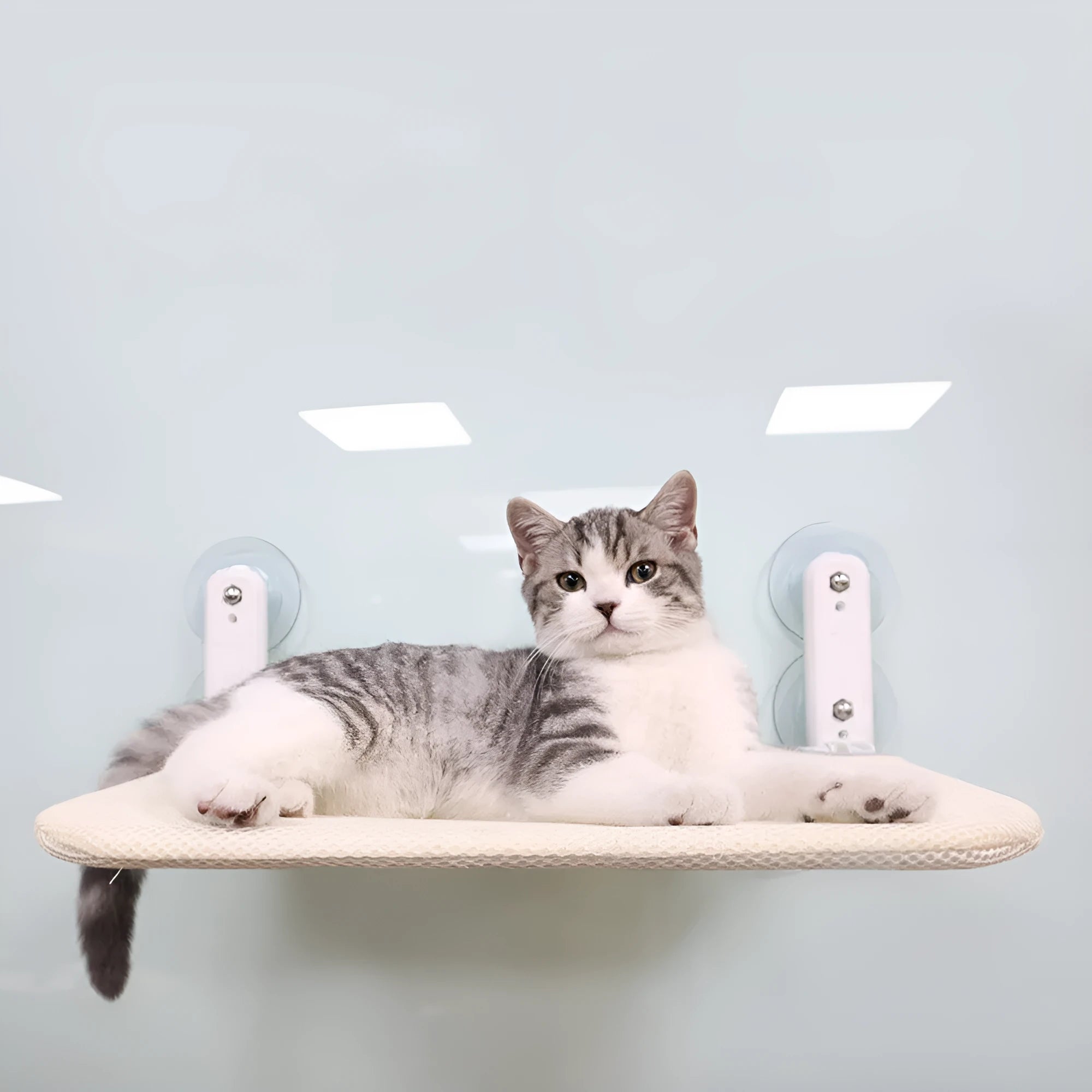 Stainless steel cat window hammock with suction cups in beige mesh, grey mesh, or grey plush options