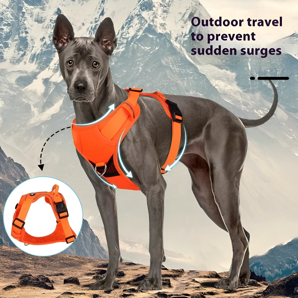 Reflective dog harness vest in orange with handle and round rope, Oxford cloth construction