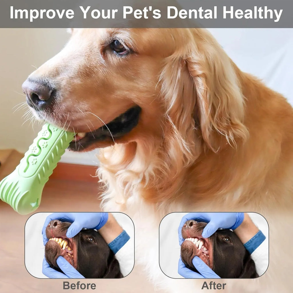 Blue, green and orange natural rubber bone-shaped dog chew toy for aggressive chewers