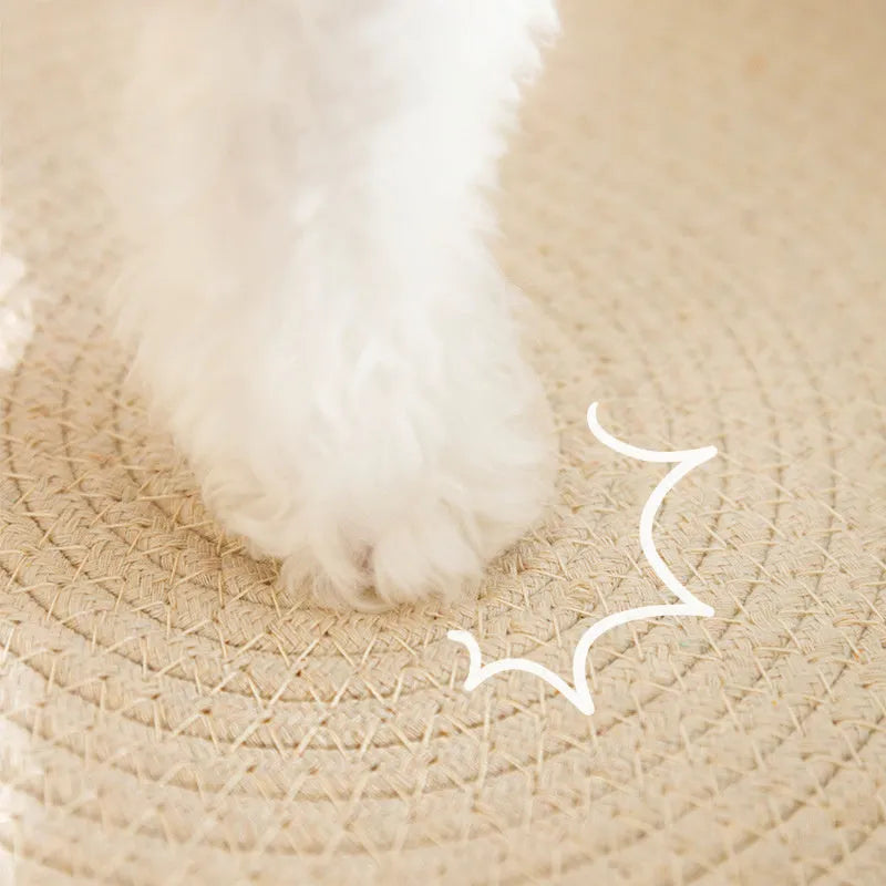 Green oval cat scratch pad bowl with sisal scratching surface and built-in cat bed
