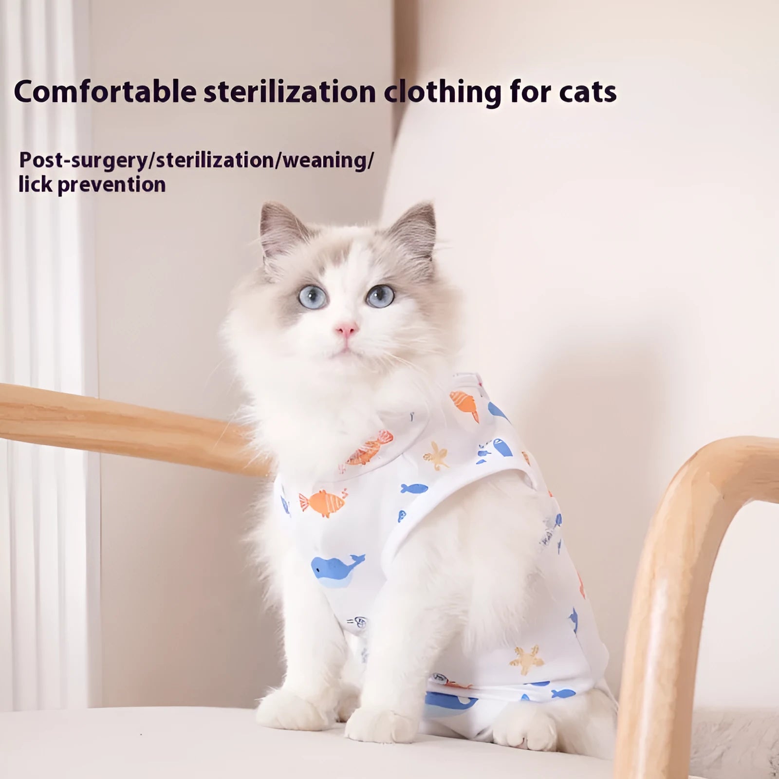 Cat wearing a blue printed polyester recovery suit with Velcro fastenings after sterilisation surgery.