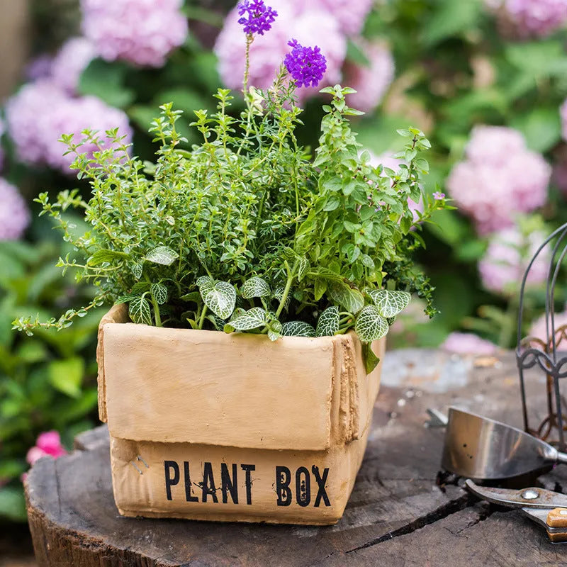 Cement flowerpot with brown paper box finish and drainage holes in bottom