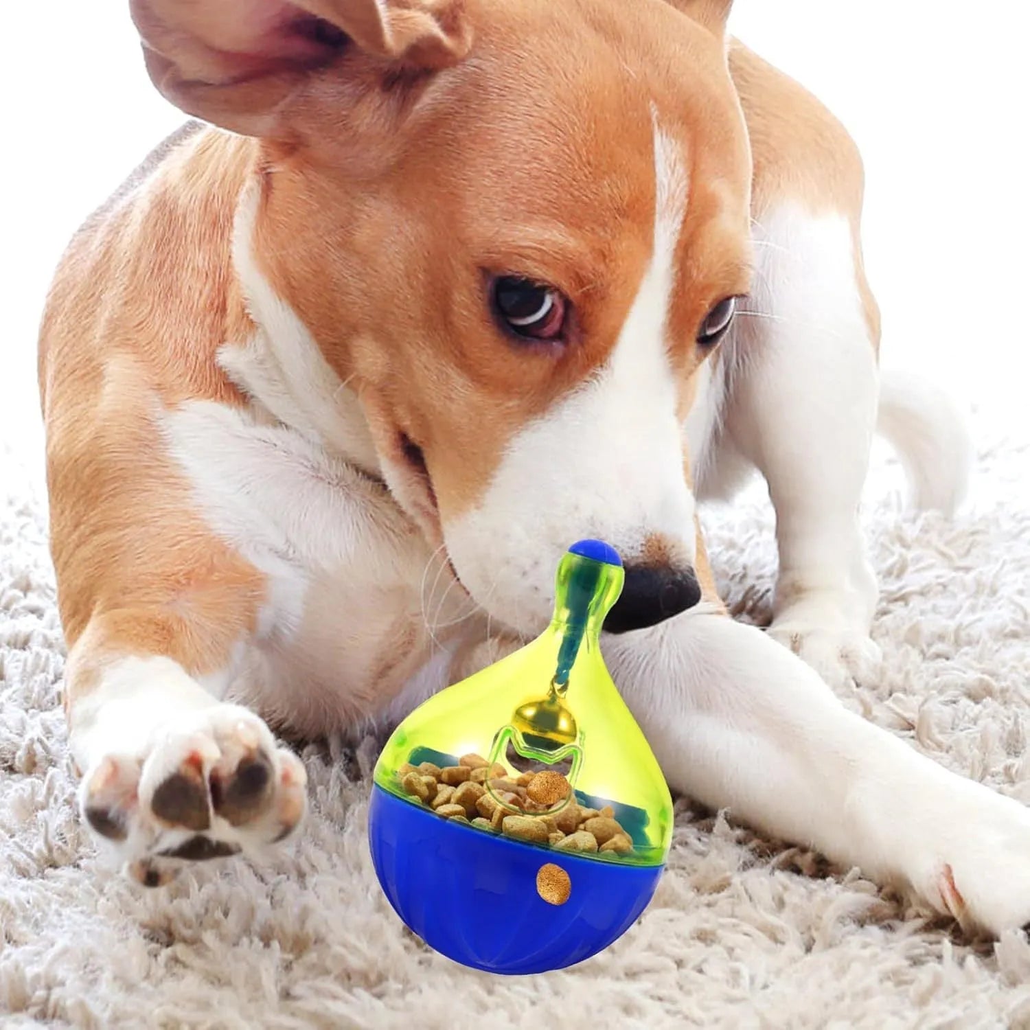 Blue and green tumbler-shaped interactive treat dispenser toy for dogs and cats on a wooden floor.