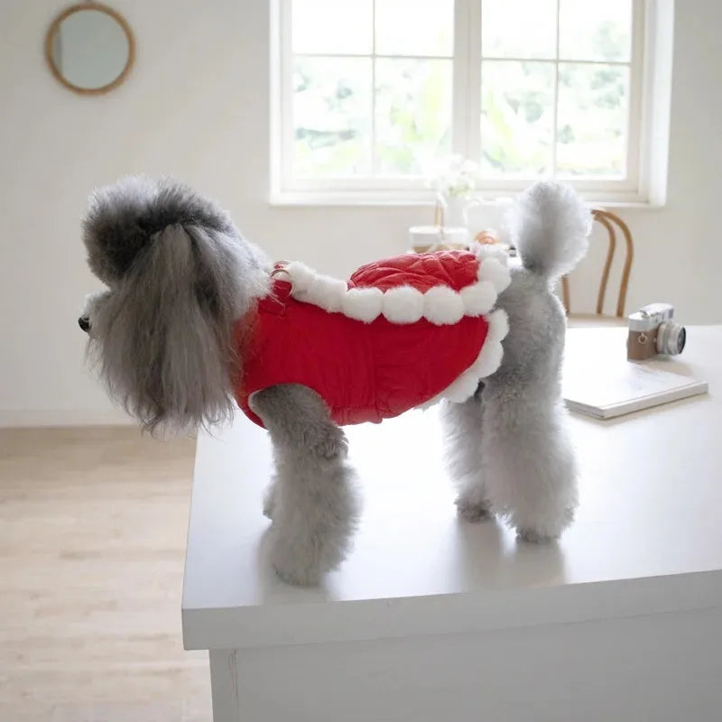 Red cotton pet coat with Chinese knot collar for dog or cat during Christmas or Chinese New Year