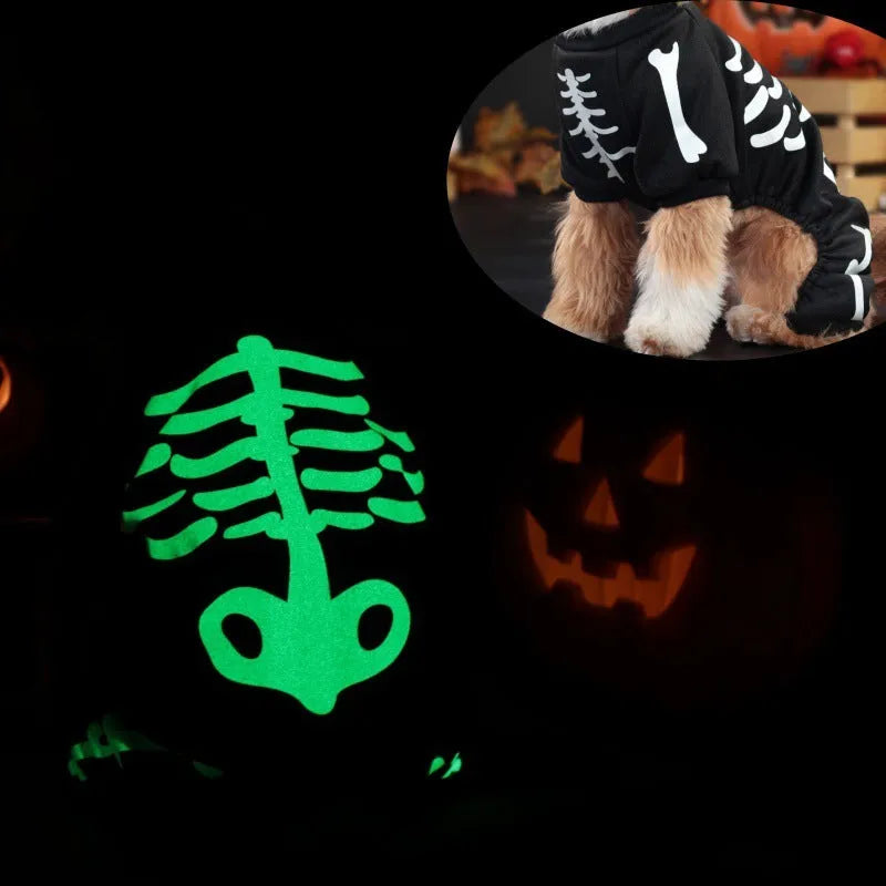 Halloween dog costume with luminous skull bones design on four-legged polyester garment