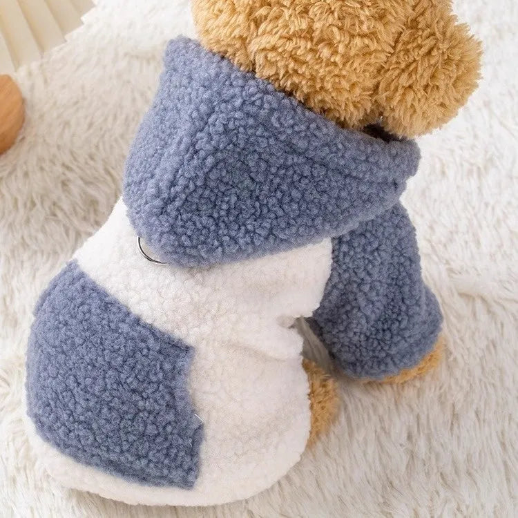 Brown hooded cotton-padded dog coat shown on model, with blue colour option available in sizes XS to XL