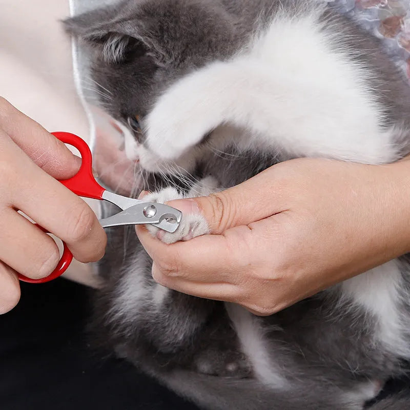 Professional pet nail clippers with stainless steel blade and coloured anti-slip handle.