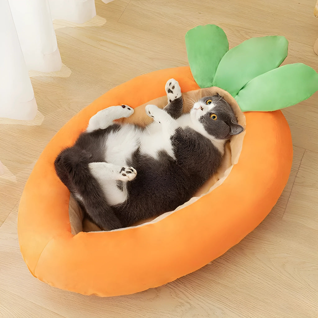 Orange carrot cartoon design dog mattress with removable cover in two size options