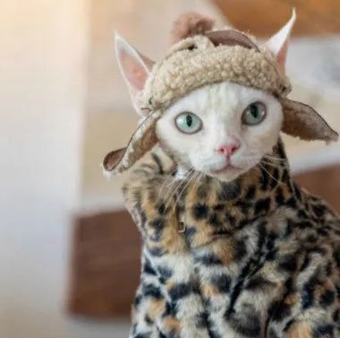 Fluffy leopard pattern short plush cat coat for hairless breeds on a Sphynx cat
