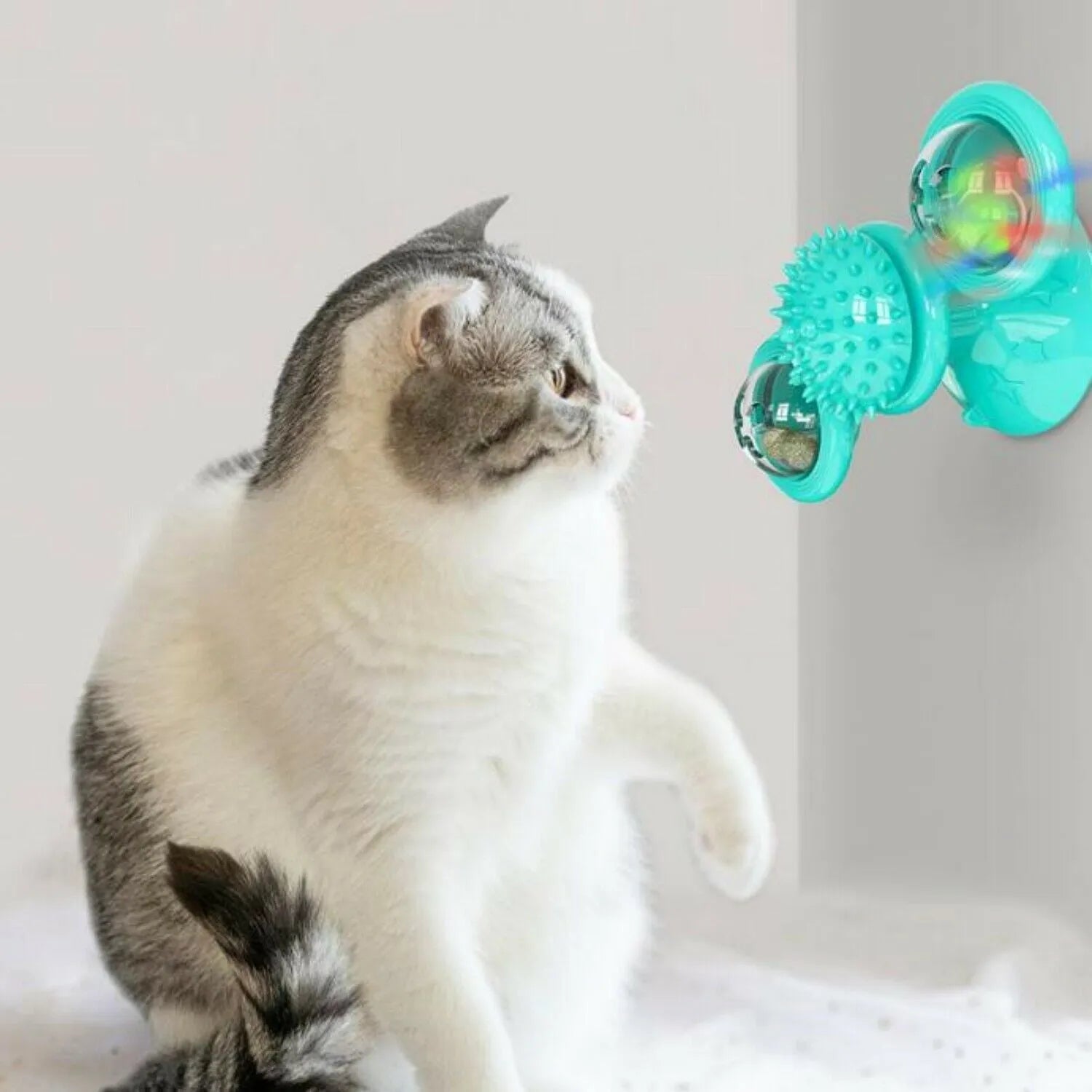 Rotating windmill cat toy with LED light and catnip balls on a white wall