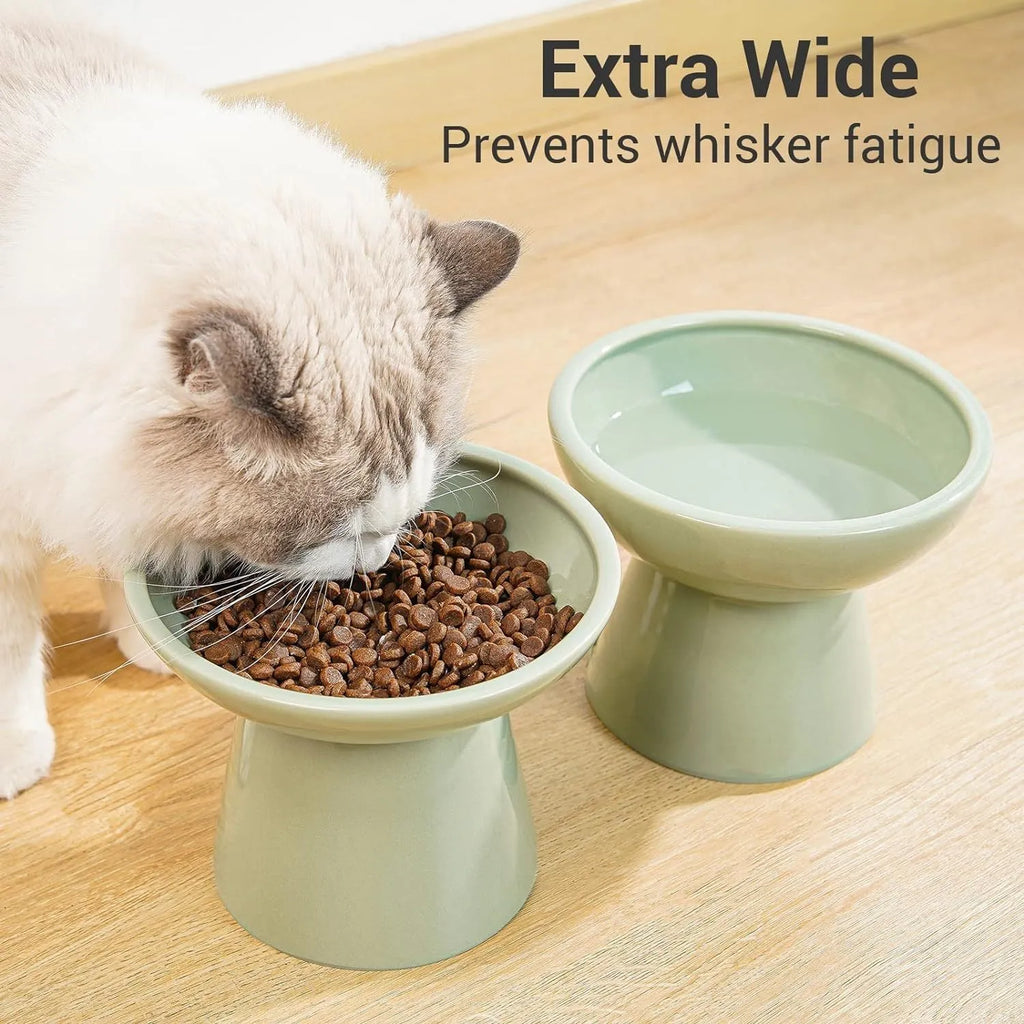 Blue ceramic elevated cat bowl with wide shallow design for comfortable feeding