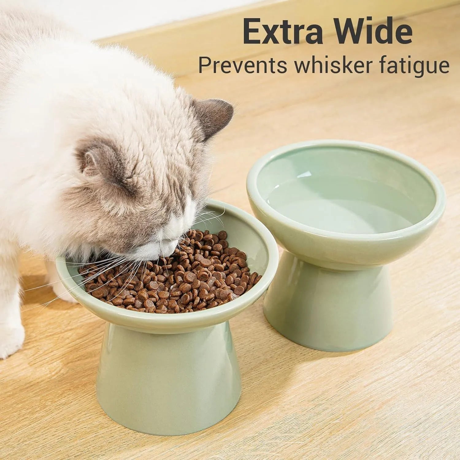 Blue ceramic elevated cat bowl with wide shallow design for comfortable feeding