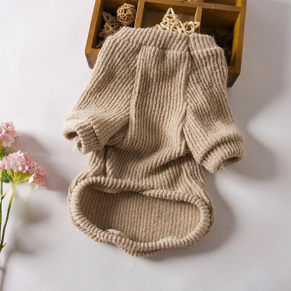 Brown knitted cloth pullover sweater on a small dog, showing casual style.