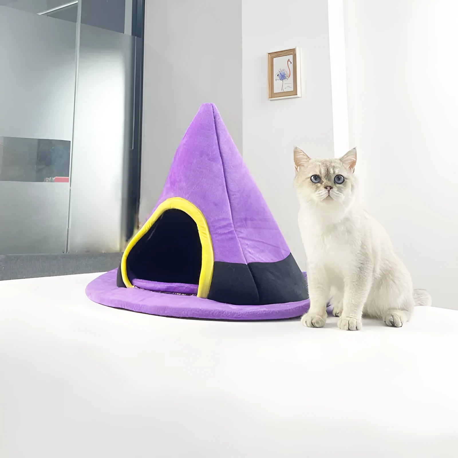 Purple Halloween witch hat shaped cloth cat bed with a fleece cushion inside.