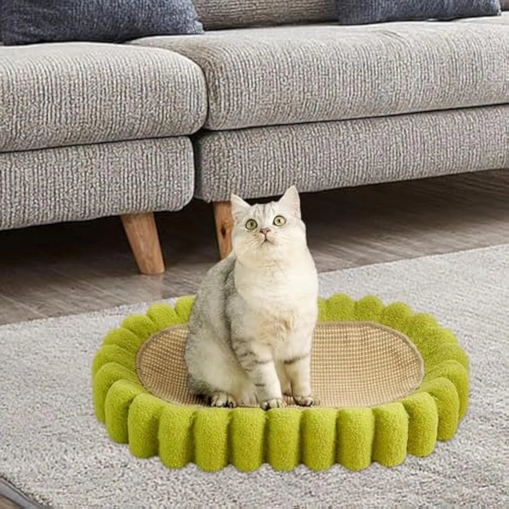 Green oval cat scratch pad bowl with sisal scratching surface and built-in cat bed