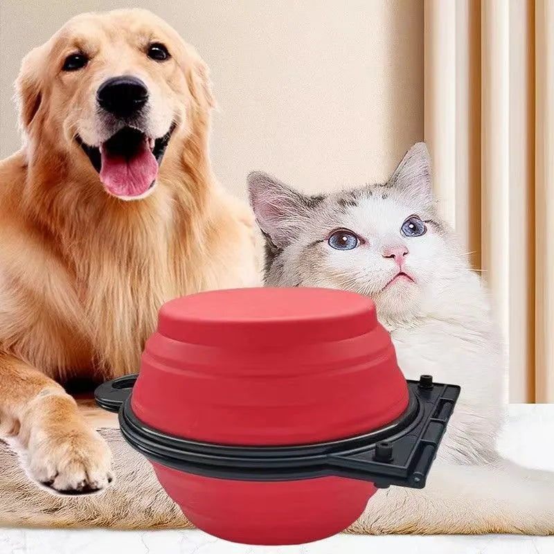 Blue silicone folding double pet bowl showing food and water compartments, folded flat beside it.