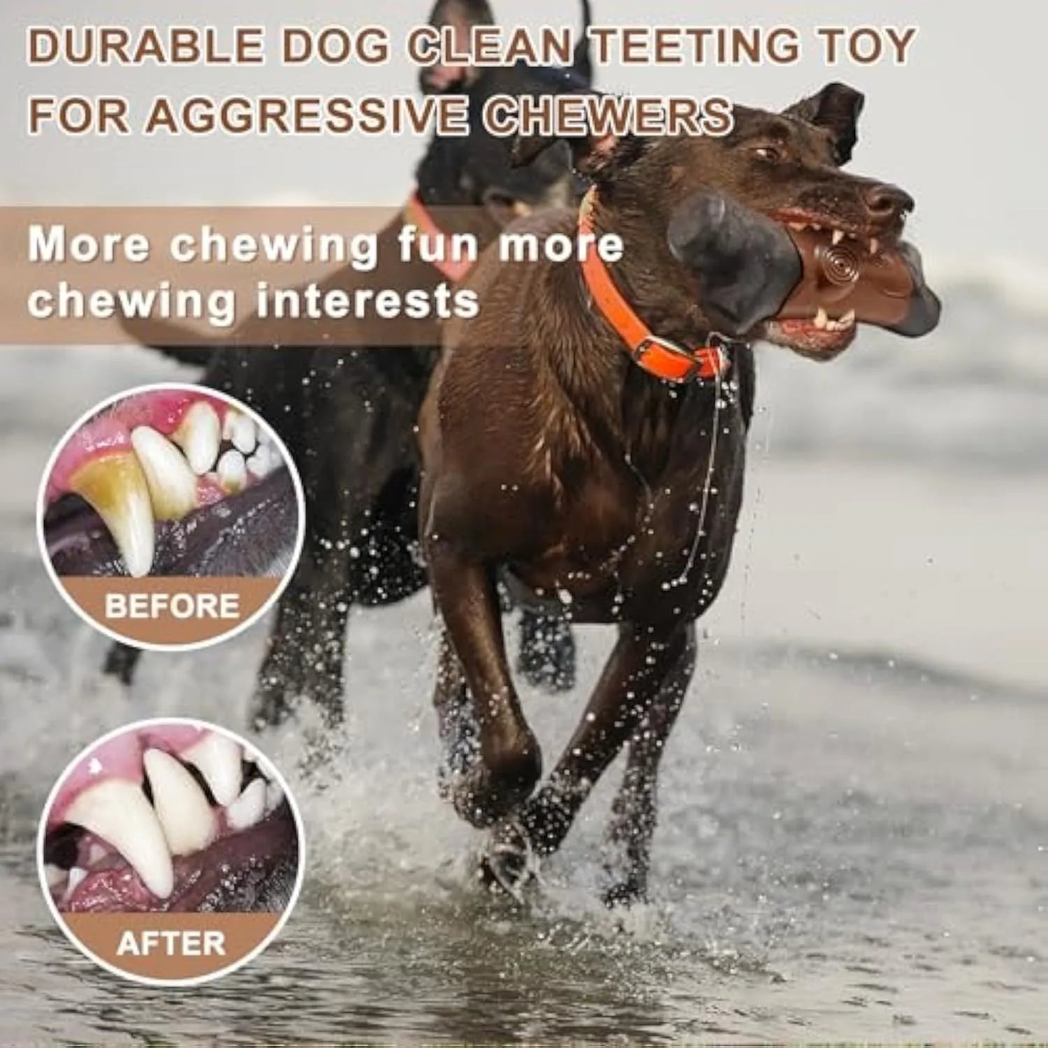 Large, branch-shaped durable nylon dog chew toy for aggressive chewing, shown with bacon flavour and squeaker.