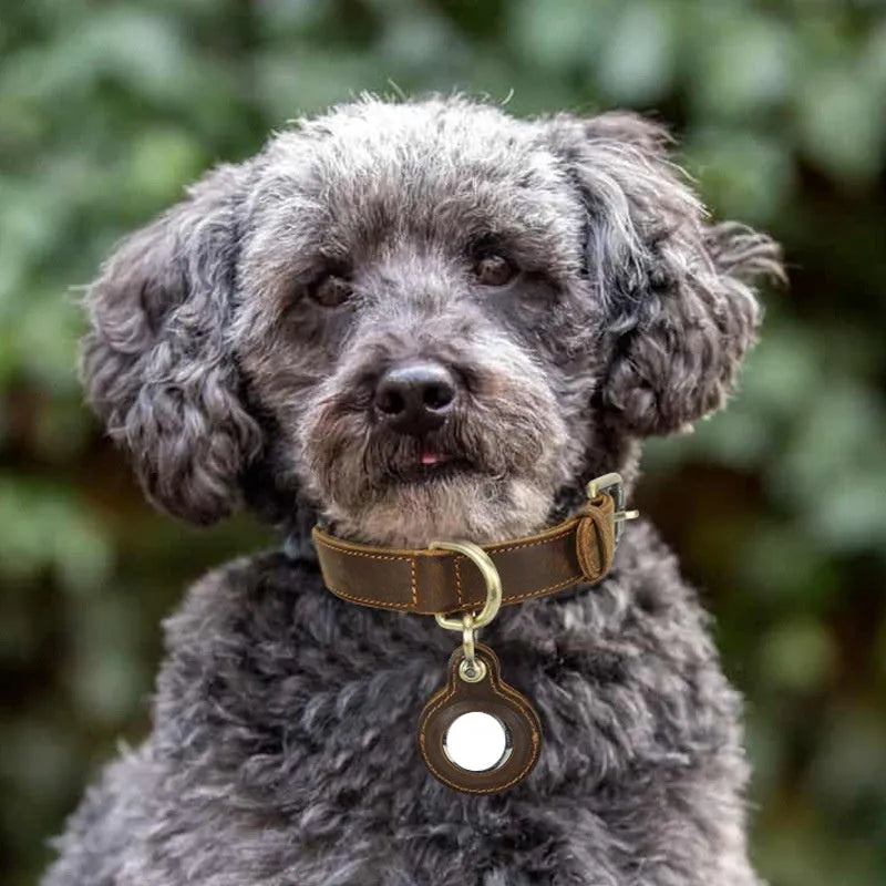 Brown handmade genuine leather dog collar with retro styling and halter positioning clasp