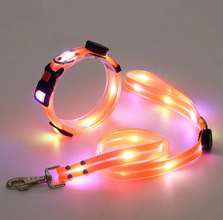 LED luminous pet collar and nylon tow rope with colourful light strips, rechargeable via USB, in black colour option