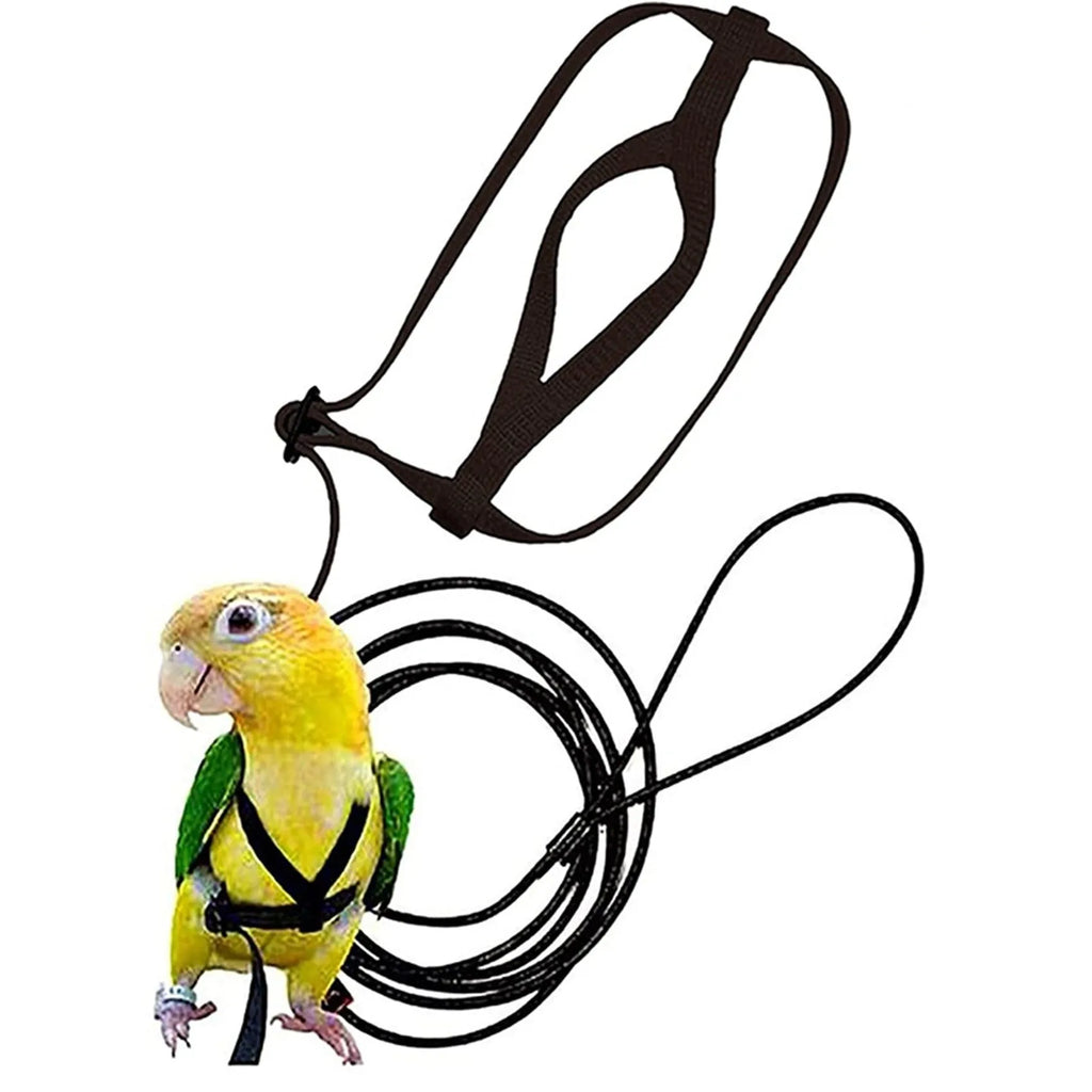 Nylon parrot hand holding rope in black, green, sapphire blue, and red on a training lead