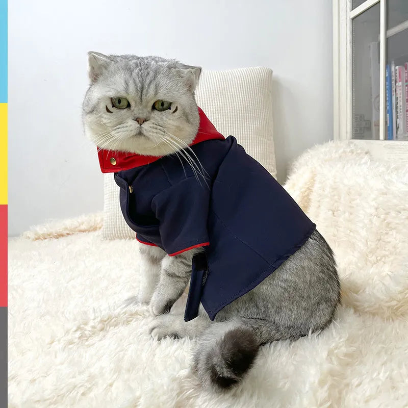 Small or medium sized hoodie for a cat or dog used as a photo prop.