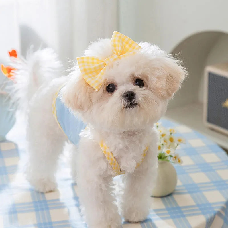 Small dog wearing a blue heart relief texture vest with bow suspenders and a matching hairband.