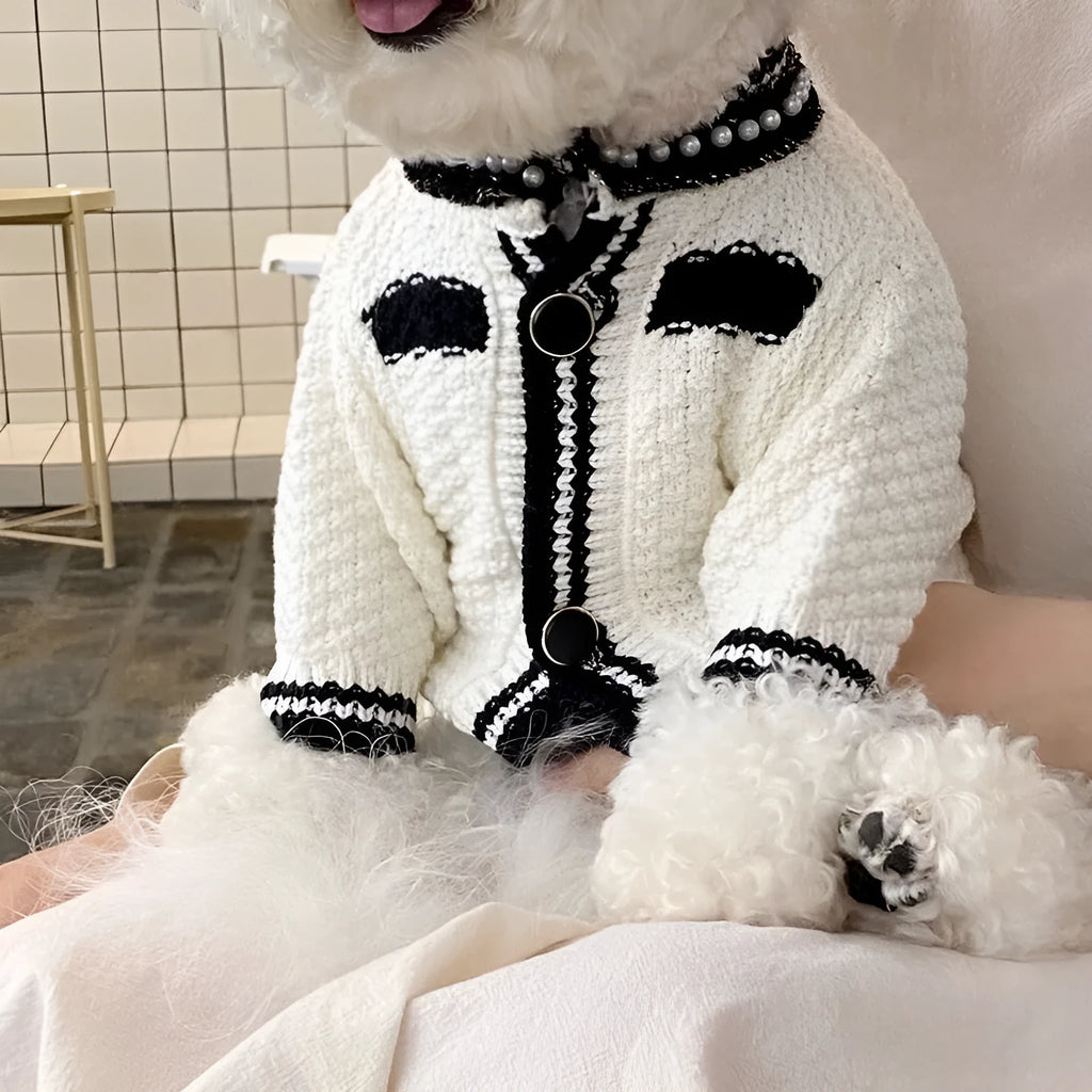 White Korean style dog sweater with pearl detail collar on a small dog, showing princess style pet clothing.