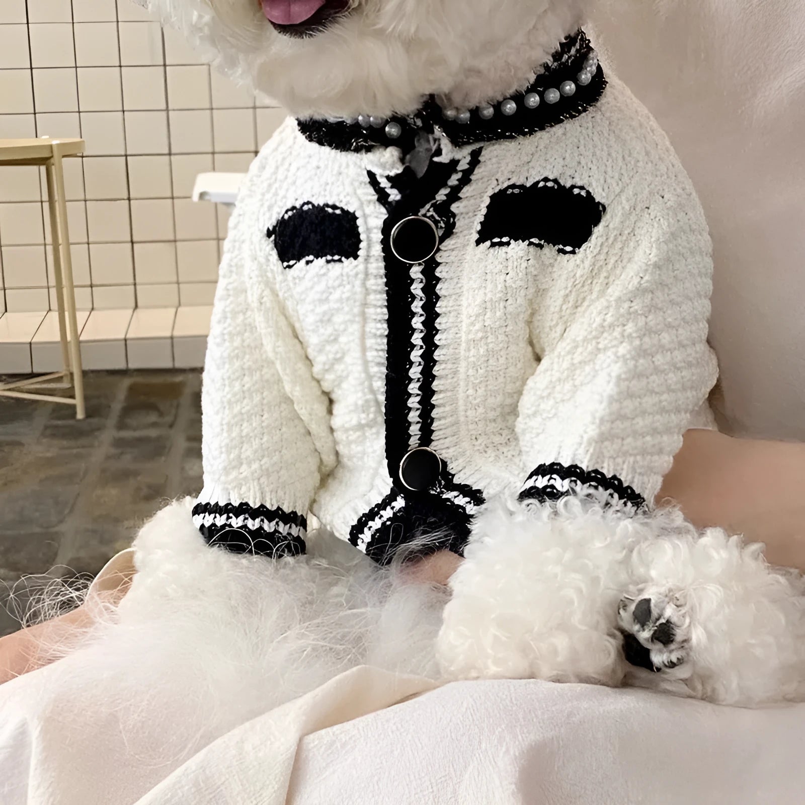 White Korean style dog sweater with pearl detail collar on a small dog, showing princess style pet clothing.