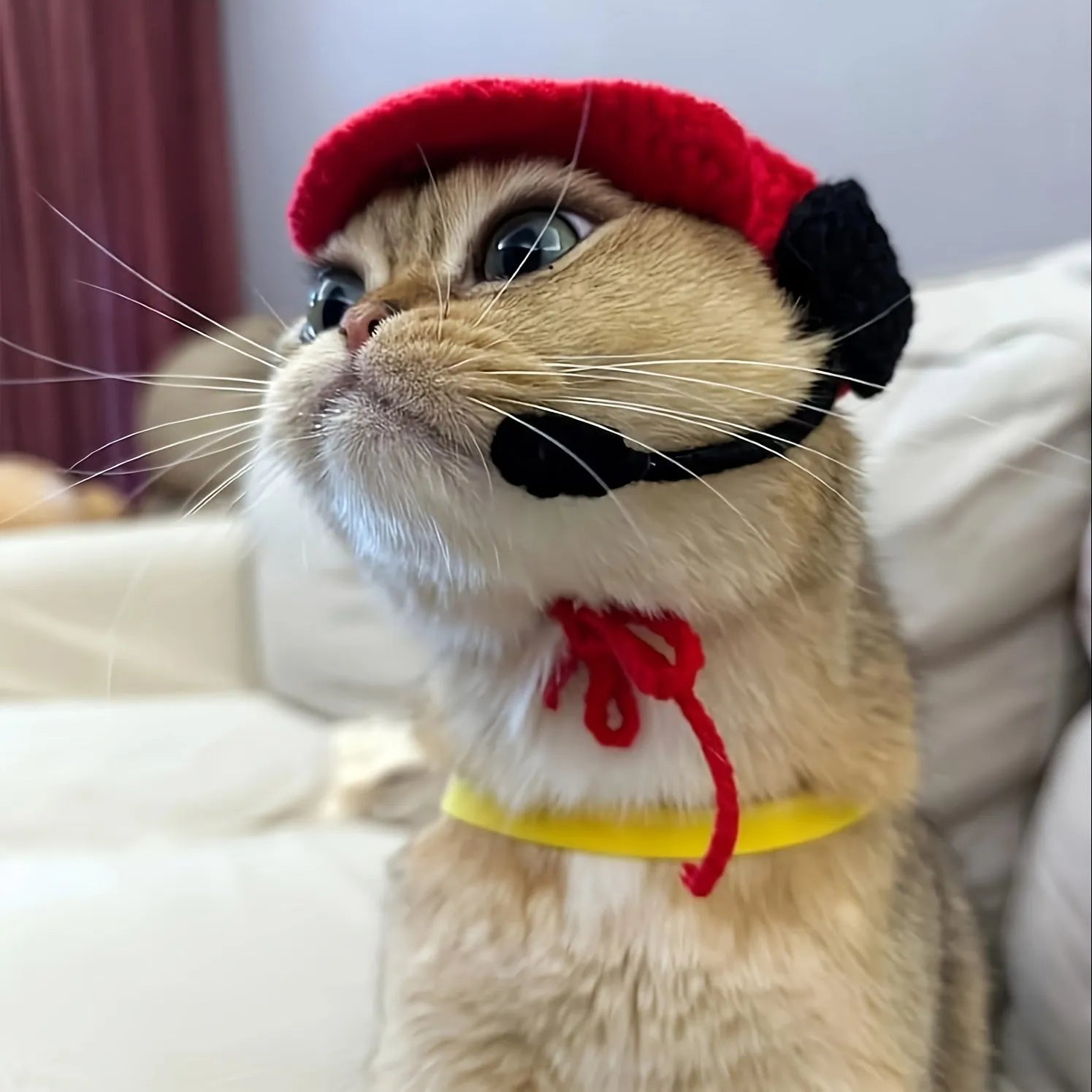 Handmade cotton knitted cat sweater with matching chef hat for birthday celebrations