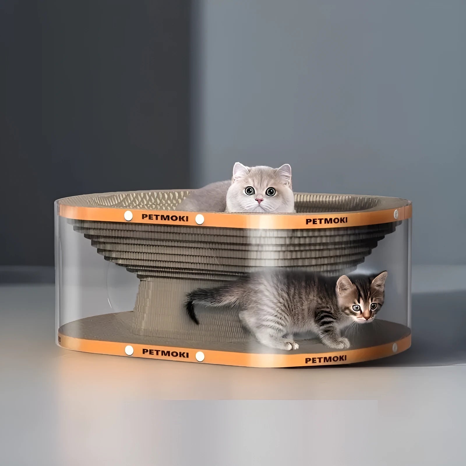 Transparent PVC and corrugated board cat scratch board nest tunnel toy