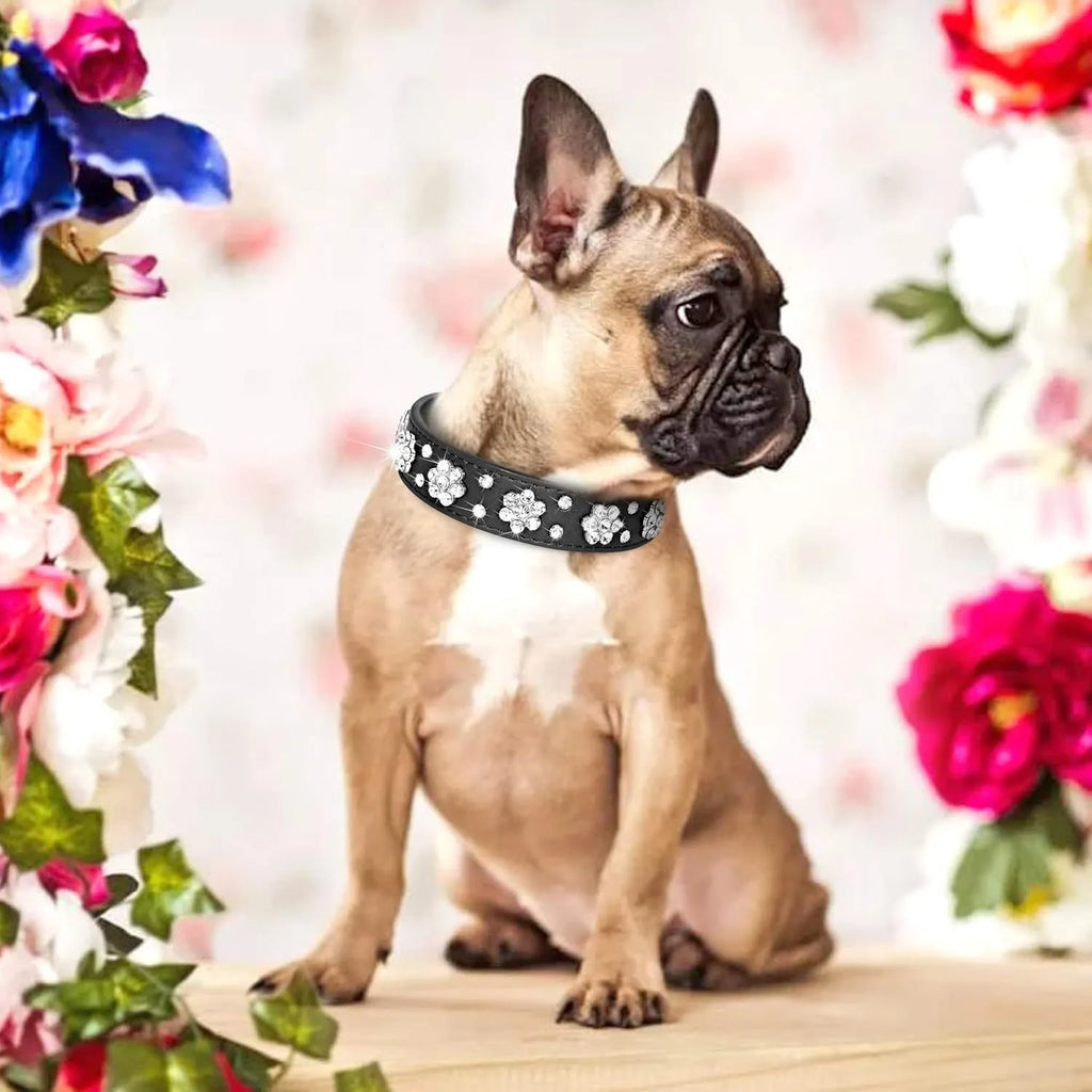 Black PU leather dog collar with sparkling rhinestone flower pattern and metal studs, showing adjustable eyelets and D-ring.
