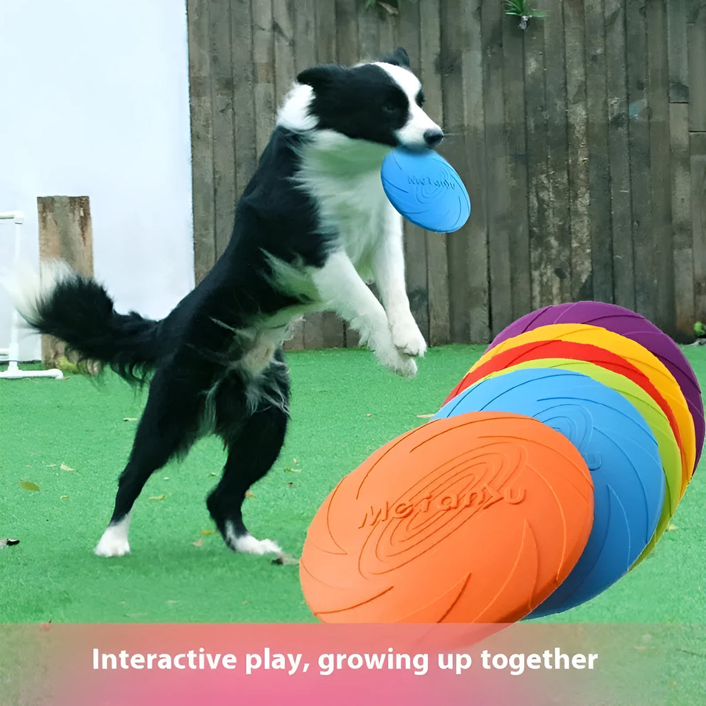 Soft rubber dog frisbee for outdoor training available in three sizes and colours