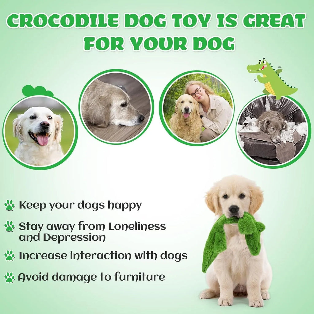 Green crocodile-shaped dog toy with squeaker and crinkle features for aggressive chewers