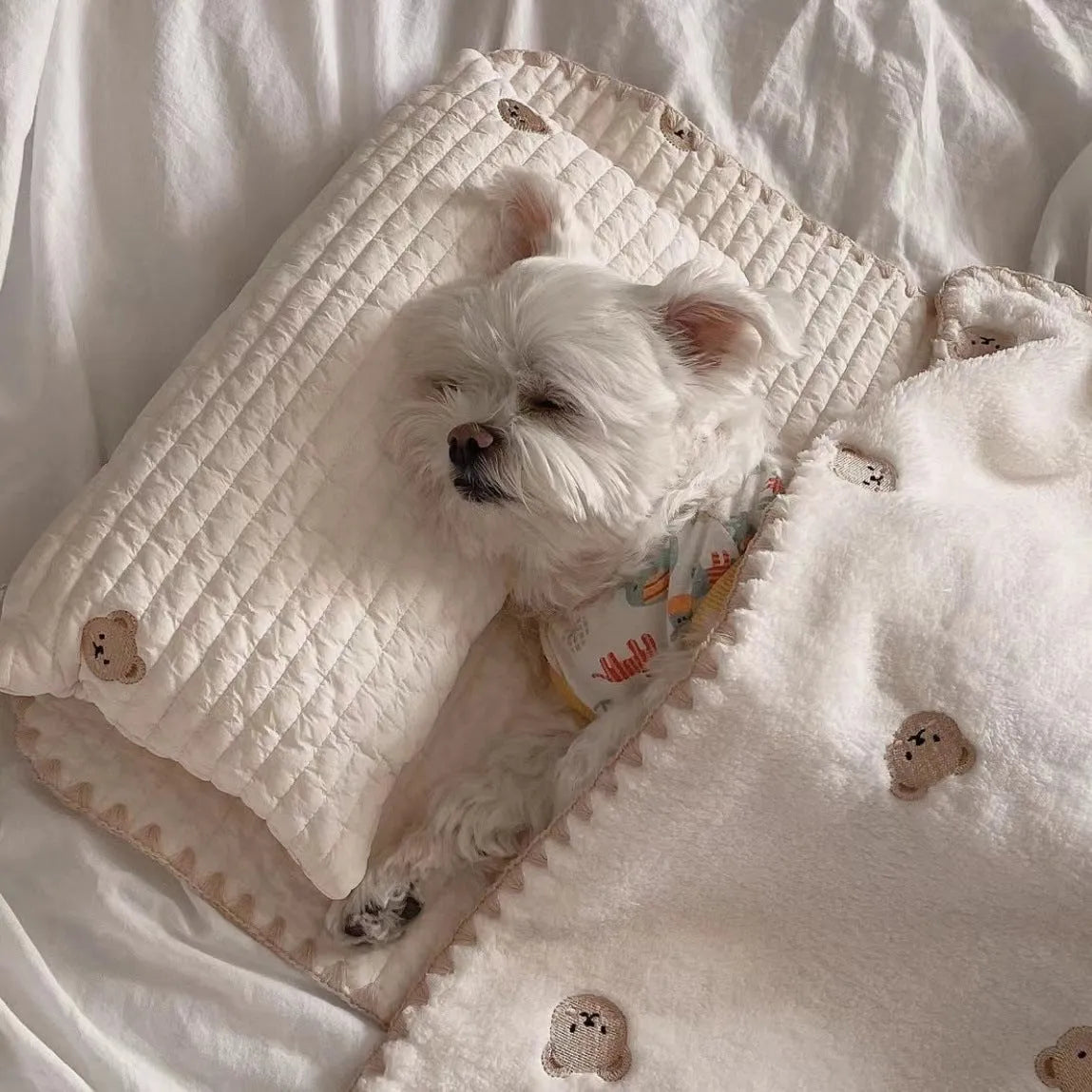 Simple Bear design three-piece dog bed set with pillow, mattress, and quilt in two size options.