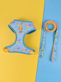Summer colours dog harness and leash set for medium large dogs chest-back design