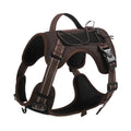 Orange reflective dog harness with an attached black hand-holding rope, shown on a medium-sized dog.