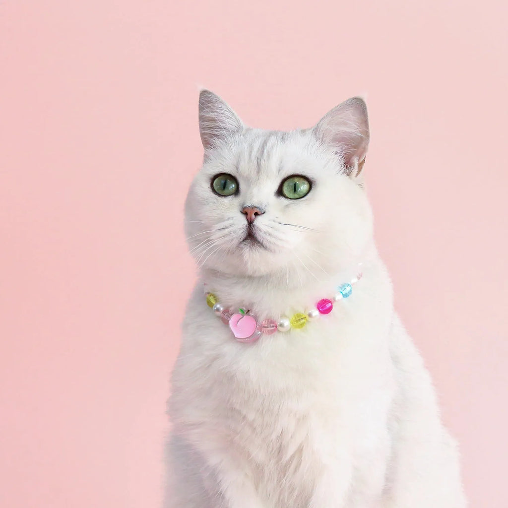 Colourful pearl bead pet necklace in small flower, rainbow, or peach designs with adjustable sizing for cats and small dogs.