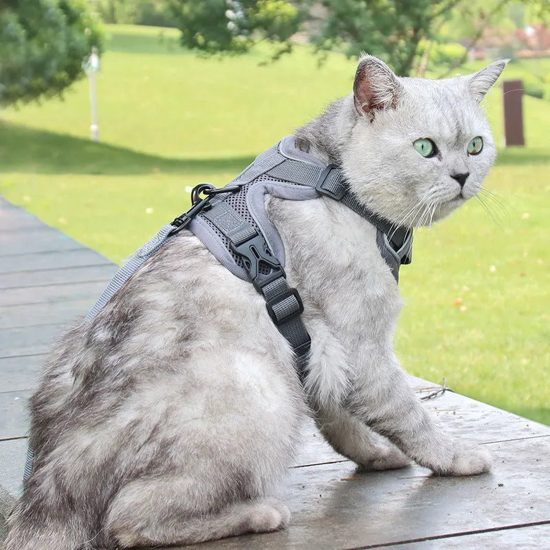 Cat anti-breakaway chest harness with 1.5-metre flat rope lead in grey, silver gradient chain detail